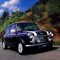 miniblink[1].gif (14699 Byte)